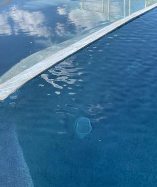 A serene pool reflecting a clear blue sky, surrounded by calm water